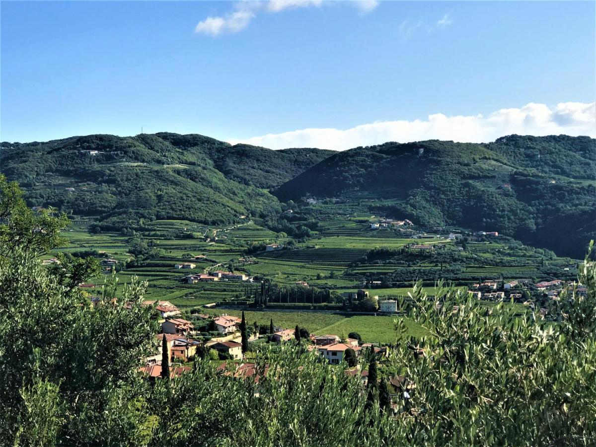 Valpolicella Hills Apartment Negrar Exterior photo