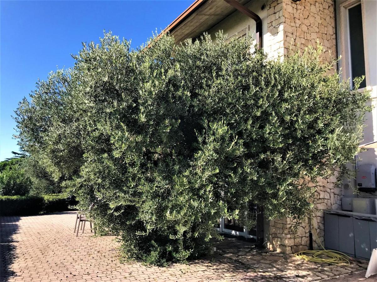 Valpolicella Hills Apartment Negrar Exterior photo