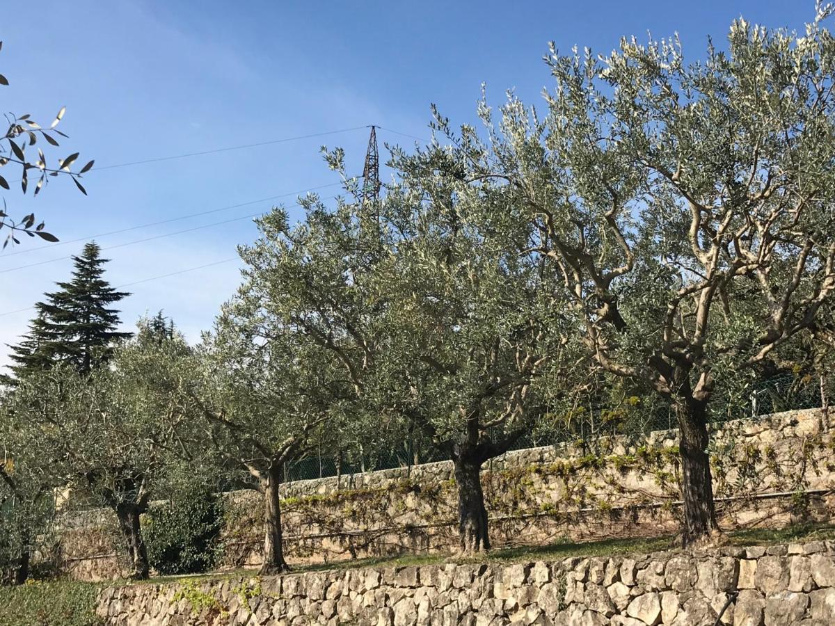 Valpolicella Hills Apartment Negrar Exterior photo